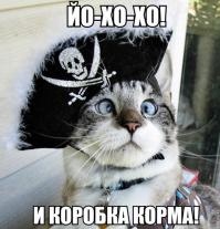 Правила кошачьего этикета