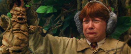 Мандрагора? =)