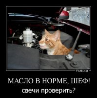 Осматривайте машину перед поездкой