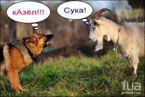 Подборка видео от 19.06.2014