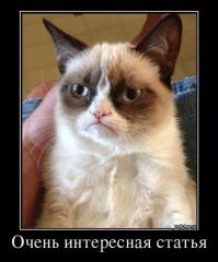 Эволюция покемонов, на примере голливудских знаменитостей