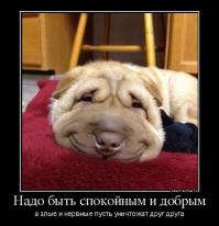 Даже и не думал тормозить