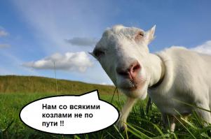 Солянка для Майдана. Часть 57