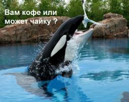 Такие кадры бывают раз на миллион