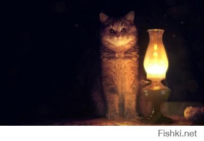 Почему нет кота с лампой ?