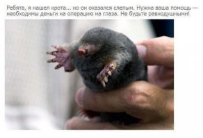 Срочно нужна помощь