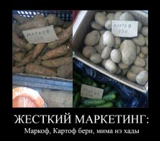 Маразмы из наших супермаркетов, от которых волосы дыбом