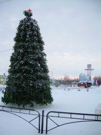 Это уже другая ветка. От Нового Уренгоя. Станция Пуровск