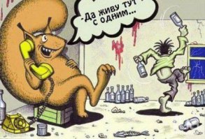 20 комиксов о белке Ши, которые поймёт каждая девушка