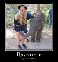 Слон сфотографировался с туристом на память