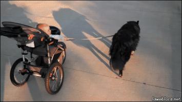 кто знает, что это за коляска???