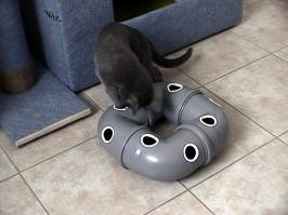 Аналогичная система. Своя кошка сниматься отказалась- не любит вспышки.