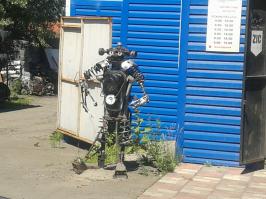 Эту парочку, я встретила под Бийском. Конечно, не шедевры, но то, что стараются приукрасить жизнь, уже радует. :)