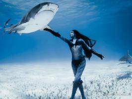 Фишкина солянка за 28.06.2014 