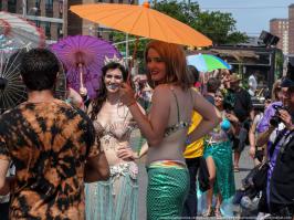 Фишкина солянка за 28.06.2014 