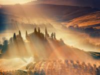 Фишкина солянка за 07.11.2014 