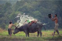 Фишкина солянка за 07.11.2014 