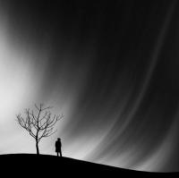 Фишкина солянка за 07.11.2014 