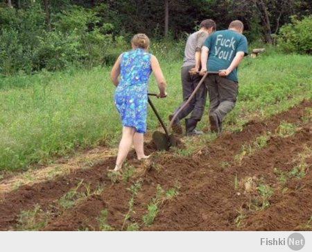 Оригинальные идеи для обустройства дачного участка