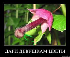 Мир глазами девушки