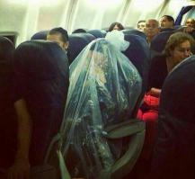 Самые необычные авиапассажиры