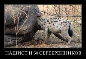 Друзья, Я попал!