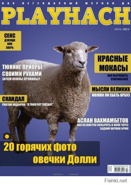 В Краснодаре за лезгинку разогнали толпу кавказцев