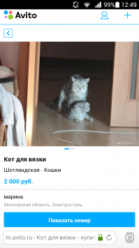 Смешные комментарии из социальных сетей 14.03.15