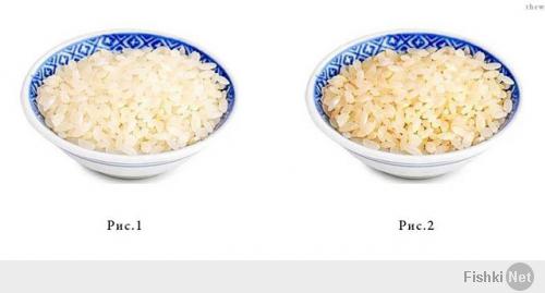  В прямом смысле слова