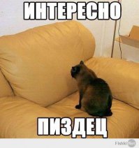 Что означают цветные метки на шинах? 