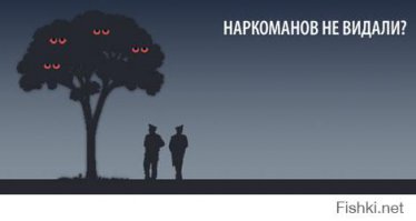 Корреспондент Би-би-си ведет репортаж с места уничтожения наркотиков