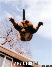 Лучшие фейлы прошедшей недели