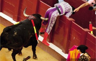 Корова напала на полицейского