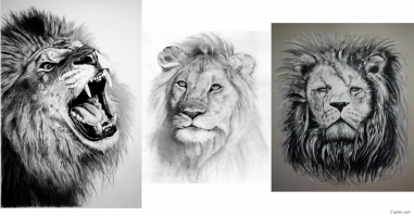 Жду конкретной критики по поводу нарисованного именно с точки зрения исполнения. Критиковать выбор изображения бессмысленно, т.к. вкусы у всех разные, я хотел именно матерого старого льва. По мне так вот этот лев по центру с флюсом на щеке выглядит как даун)