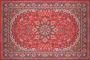 7. Эти цветы похожи на богато украшенный ковёр... Цветы красивые, но всё же богато украшенный ковёр вот)))