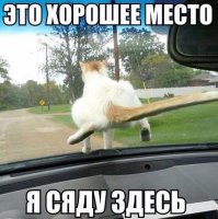 Дворники сломались?