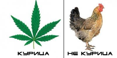 Куриная грудка на гриле просто объедение ;) !!!!!