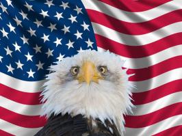 К первой фотке))