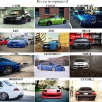 Я овно-тельце-рако-близне-весо-дево-рыбо-скорпо-водо-рого-стрело-лево-нищебродо-слюно.пуск