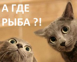 Пост хорош, конечно, но есть одно НО.