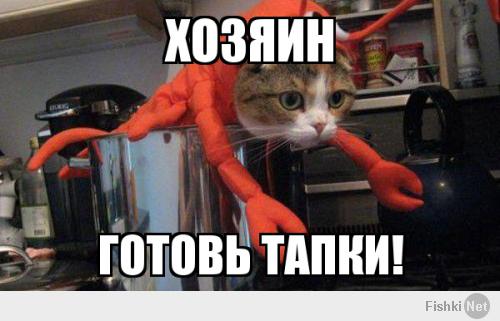 Кошки в костюмах других животных