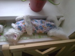 Сфотографировал пейзаж