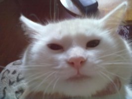 Сфотографировал пейзаж