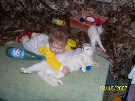 20 доказательств того, что питбули самые ласковые собаки в мире