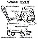 Коты - насколько же это сложные и непонятные существа!
