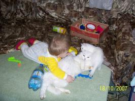 Коты - насколько же это сложные и непонятные существа!