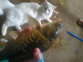 Удачная кошачья рыбалка 