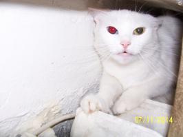 Не то слово...Думаю,она подозревает меня в том,что я хочу её убить...Одно слово-Гингема...