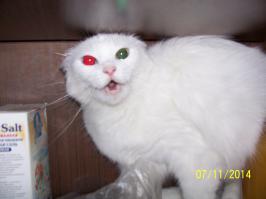 Не то слово...Думаю,она подозревает меня в том,что я хочу её убить...Одно слово-Гингема...