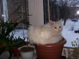 Неудобное удобно 